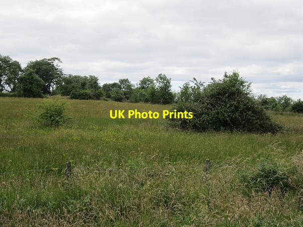 Photo 6"x4" Hay meadow, Farrancassidy Belleek c2012