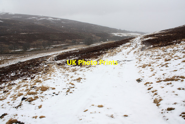 Photo 6"x4" Tracks in Glen Lochy Bridge of Brown c2013
