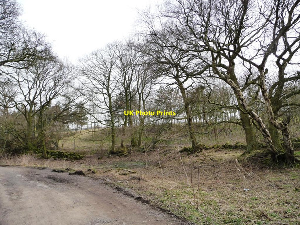 Photo 6"x4" On the south side of Manor House Lane Alwoodley Gates c2013