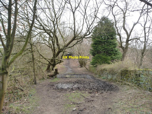 Photo 6"x4" Brandon Lane alongside Burble Well Wike c2013