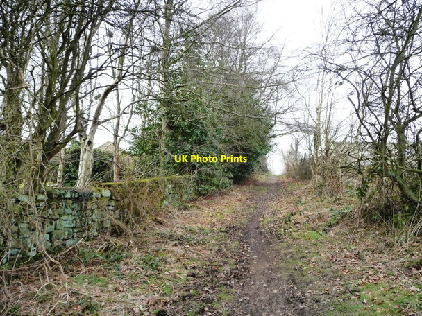 Photo 6"x4" Brandon Lane, looking north Wike c2013