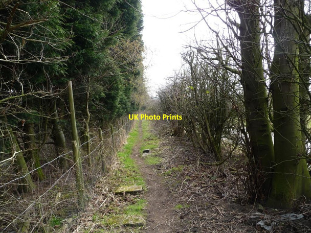 Photo 6"x4" Footpath from Brandon Lane to Brandon Crescent Shadwell\/SE3439 c2013