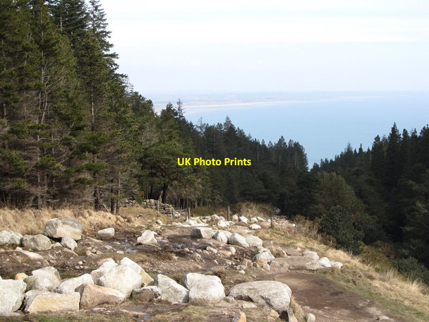 Photo 6"x4" The Glen Valley Path descending towards the forest gate Newcastle\/J3732 c2013