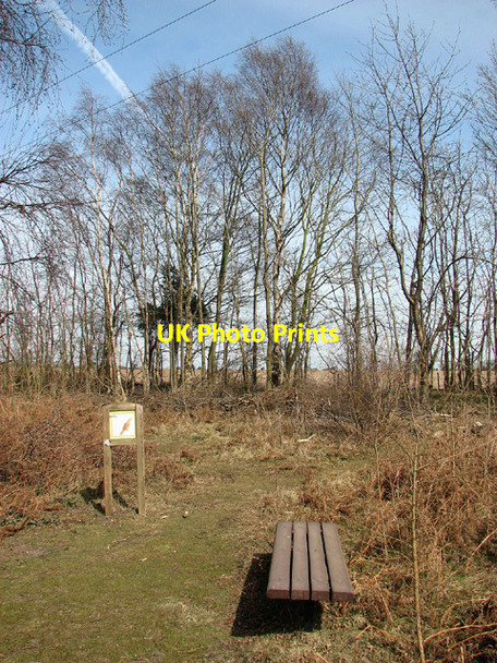 Photo 6"x4" Seat and information board beside a path at Toby's Walks Blythburgh c2013