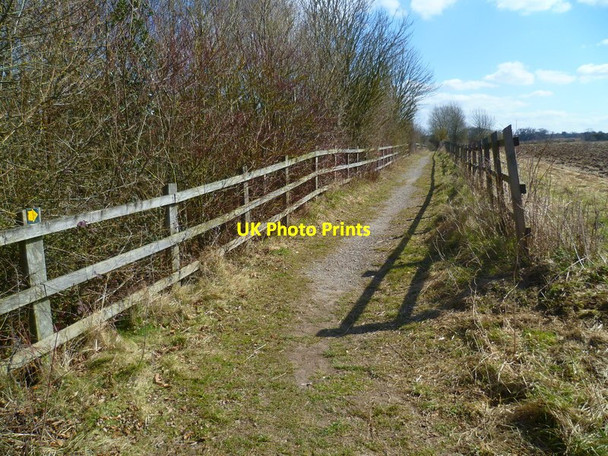 Photo 6"x4" Itchen Way (177) Ovington\/SU5631 c2013