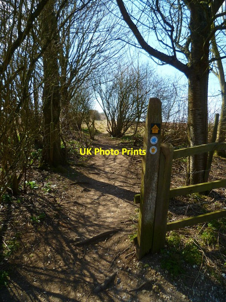 Photo 6"x4" Itchen Way (178) Ovington\/SU5631 c2013