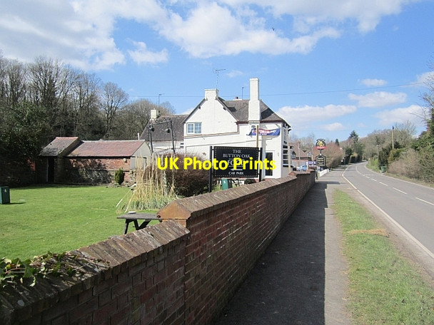 Photo 6"x4" The Button Oak Pound Green\/SO7578 c2013