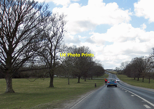 Photo 6"x4" Road bordering Beverley Westwood Beverley c2013