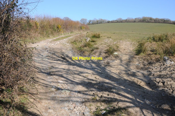 Photo 6"x4" Footpath and track Llangynog\/SN3316 c2013