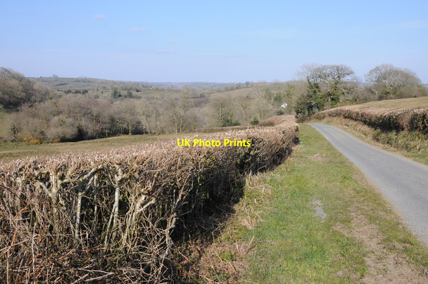 Photo 6"x4" Country road north of Bancyfelin Bancyfelin c2013