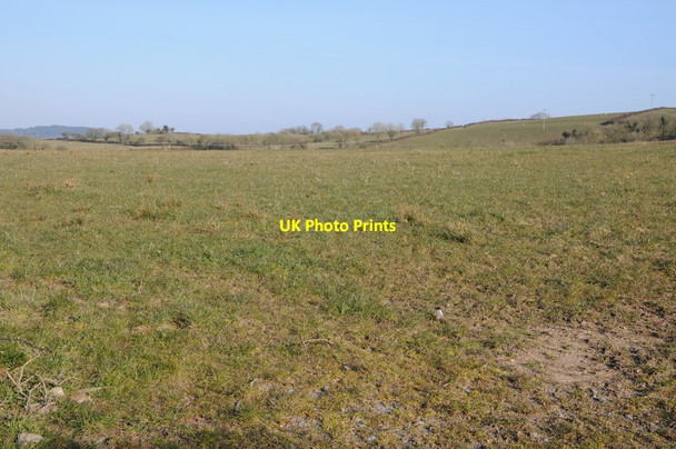 Photo 6"x4" Farmland opposite Mylett Farm Halfpenny Furze c2013