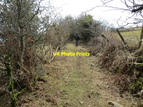 Photo 6"x4" Llwybr Llangiwg Path Craig Llangiwg c2013