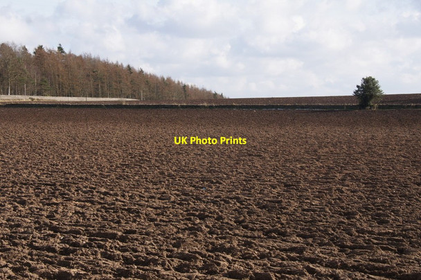 Photo 6"x4" Ploughed field at Birkhill Dundee\/NO3632 c2013