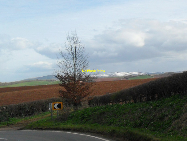 Photo 6"x4" View of Quantocks near Carhampton Carhampton c2013