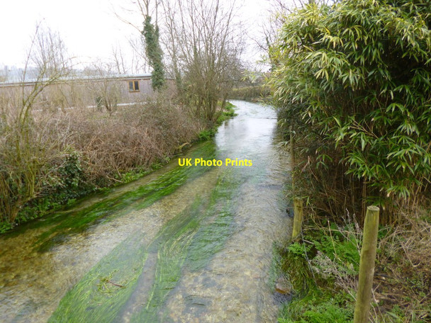 Photo 6"x4" Bere Regis, Bere Stream Shitterton c2013