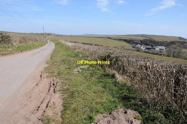 Photo 6"x4" Country road above Laques-fawr Laugharne c2013