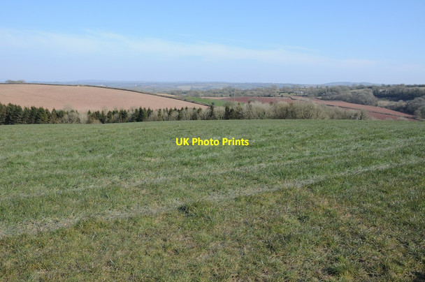 Photo 6"x4" Field above Penycoed Ffynnon\/SN3516 c2013
