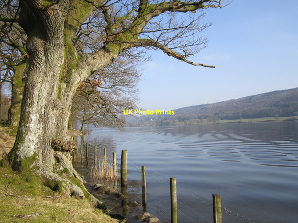 Photo 6"x4" Coniston Water Haws Bank\/SD3096 c2013