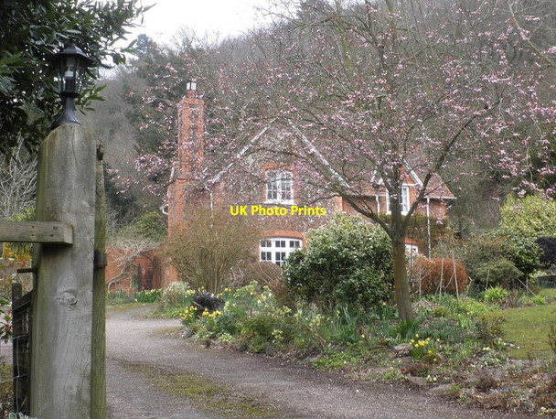 Photo 6"x4" House and garden, Weacombe Weacombe c2013