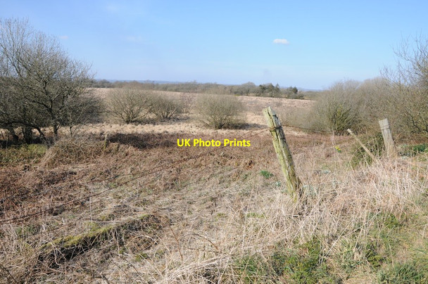 Photo 6"x4" Rough grazing near Llangynog Ffynnon\/SN3516 c2013
