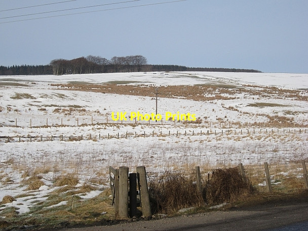 Photo 6"x4" Waverley Line by Heriot Falahill c2013