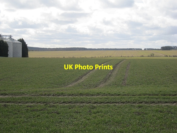 Photo 6"x4" Arable land, Lowick Lowick\/NU0139 c2013