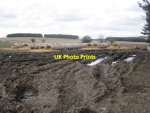 Photo 6"x4" Bale store Holburn c2013