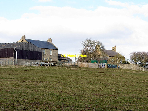 Photo 6"x4" Whittle Farm Horsley\/NZ0966 c2013