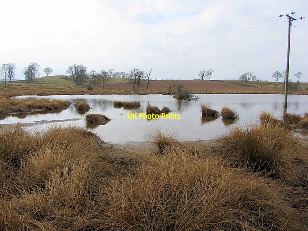 Photo 6"x4" Tilekiln Ponds near Lookingflatt Farm Burrells c2013 P1