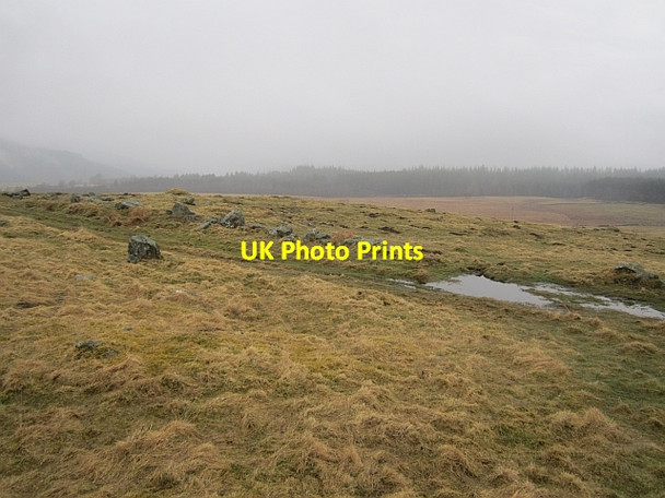 Photo 6"x4" Obney to Rumbling Bridge path Inver\/NO0142 c2013