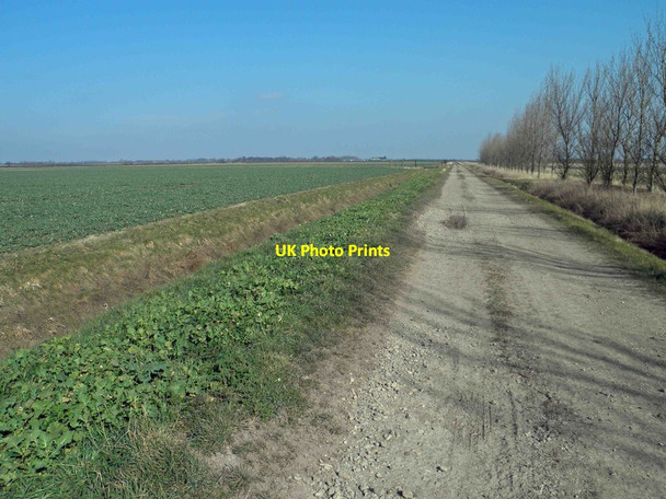 Photo 6"x4" Cow Marsh Lane North End\/TA3101 c2013