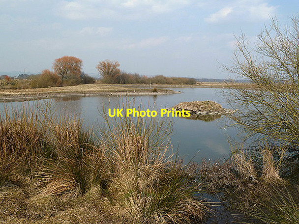 Photo 6"x4" The Whooper Pond at Caerlaverock Wetland Centre Eastpark\/NY0565 c2013
