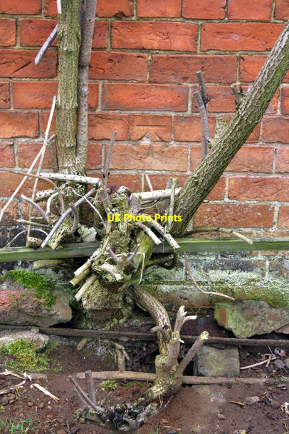 Photo 6"x4" Benchmark on barn at Green Hill Farm Twyford\/SP4736 c2013