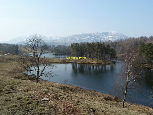 Photo 6"x4" Tarn Hows Hawkshead Hill c2013