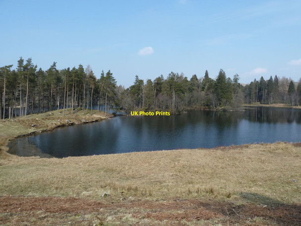 Photo 6"x4" Tarn Hows Hawkshead Hill c2013 P1