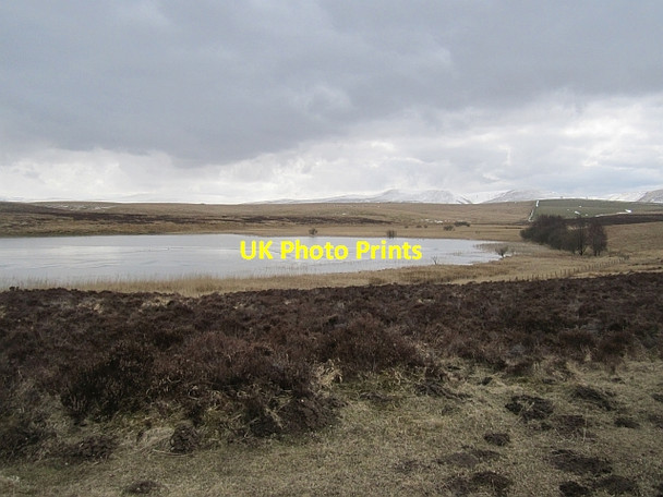 Photo 6"x4" Sunbiggin Tarn Kelleth c2013