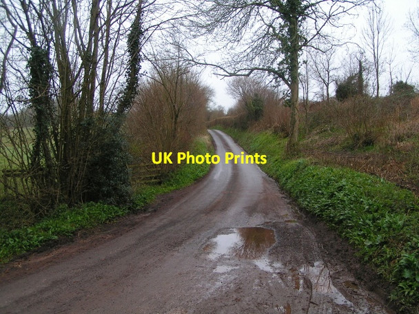 Photo 6"x4" Cockland Hill Kittisford c2013