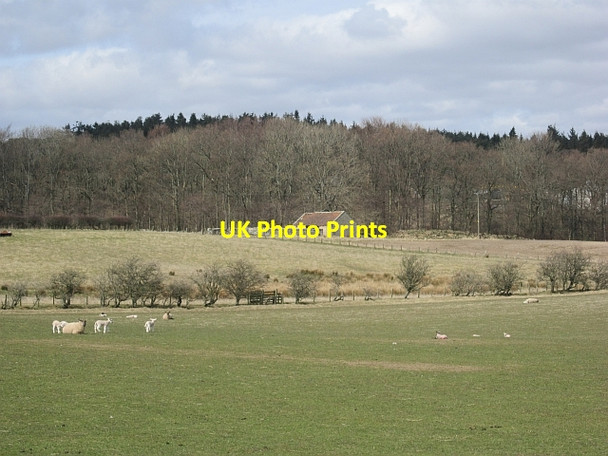 Photo 6"x4" Field, Wandon Chatton c2013