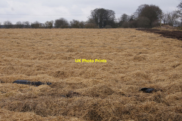 Photo 6"x4" Straw in a field, Rosewell, Kirriemuir Kirriemuir c2013