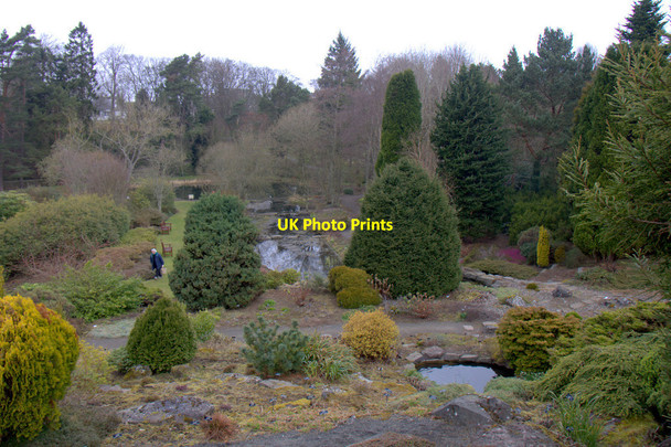 Photo 6"x4" St Andrews Botanic Gardens St Andrews c2013