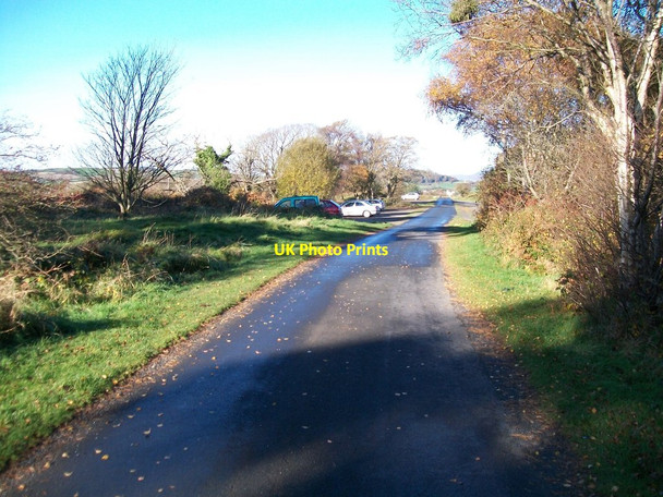 Photo 6"x4" The Murlough House Drive Dundrum\/J4036 c2010