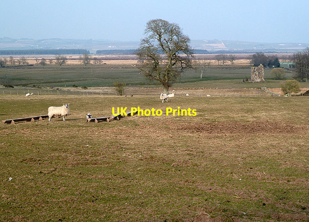 Photo 6"x4" Farmland at Bankend Bankend\/NY0268 c2013