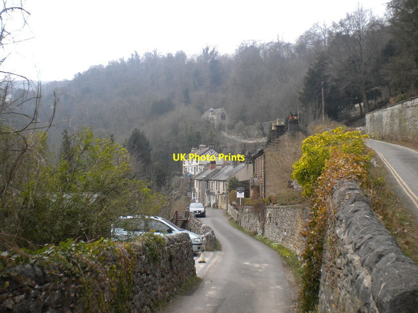 Photo 6"x4" Common Wood, Matlock Dale Matlock c2013