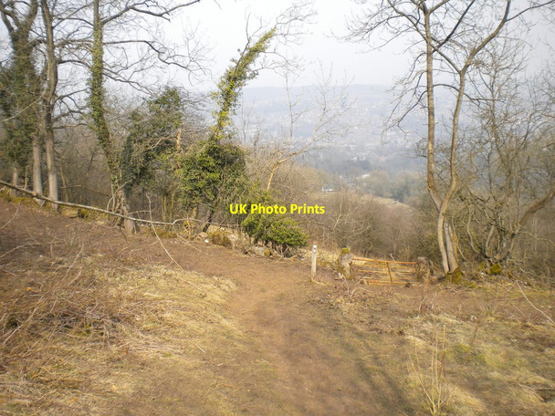 Photo 6"x4" Path through field above Matlock Dale Matlock c2013