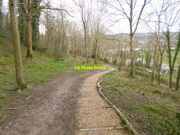 Photo 6"x4" Harnham, steps Salisbury c2013