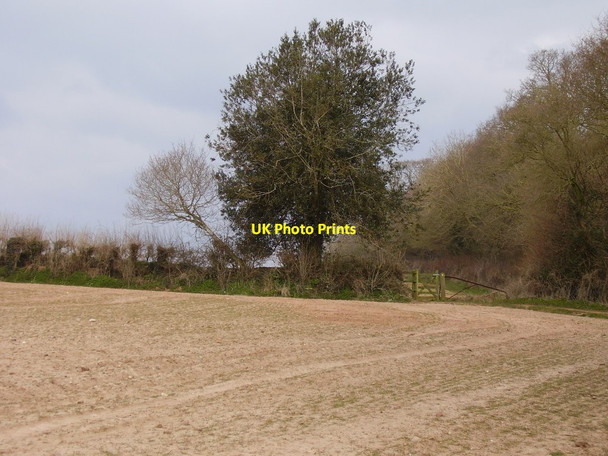 Photo 6"x4" Footpath by Watery Lane Woodbury\/SY0187 c2013