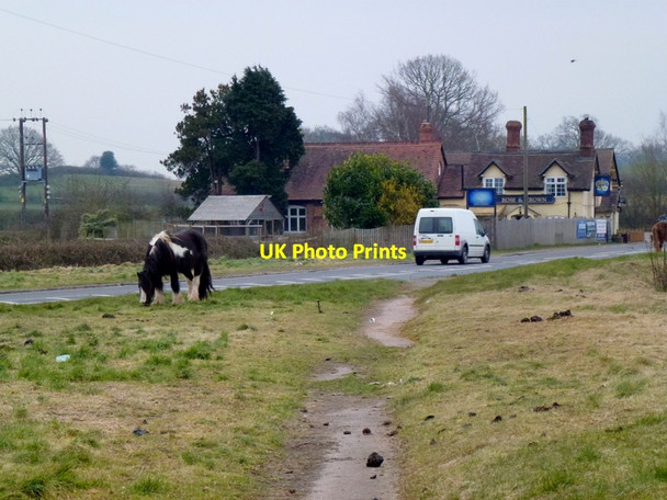Photo 6"x4" Horse grazing the verge at Playley Green Playley Green c2013