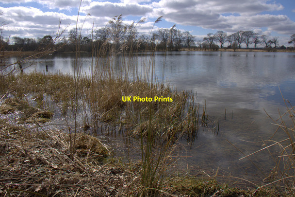 Photo 6"x4" Monk Myre, Rosemount Coupar Angus c2013