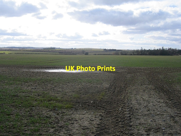 Photo 6"x4" Tractor tracks Berrington\/NU0043 c2013