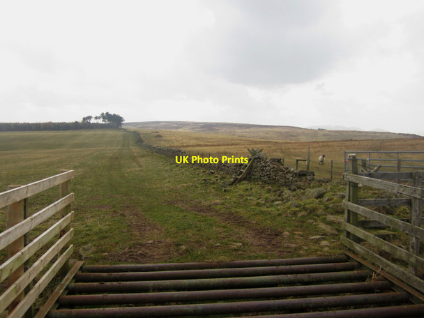 Photo 6"x4" Grass field on Horton Moor Doddington\/NT9932 c2013